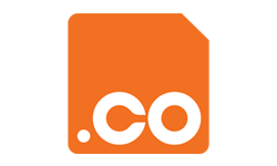 .co domain registration